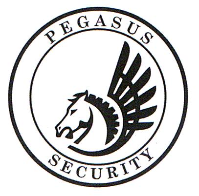 PEGASUS SECURITY