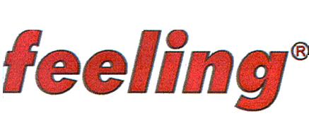 feeling