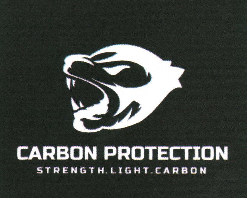 CARBON PROTECTION STRENGTH. LIGHT. CARBON