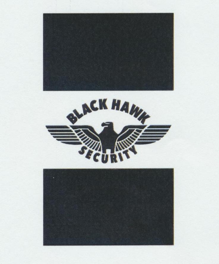 BLACK HAWK SECURITY