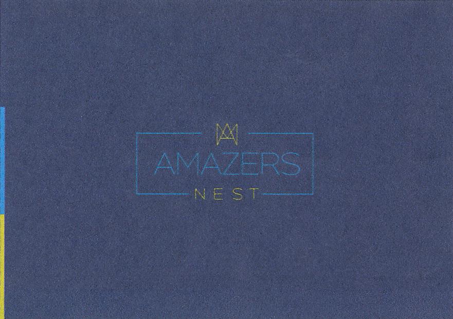 AMAZERS NEST