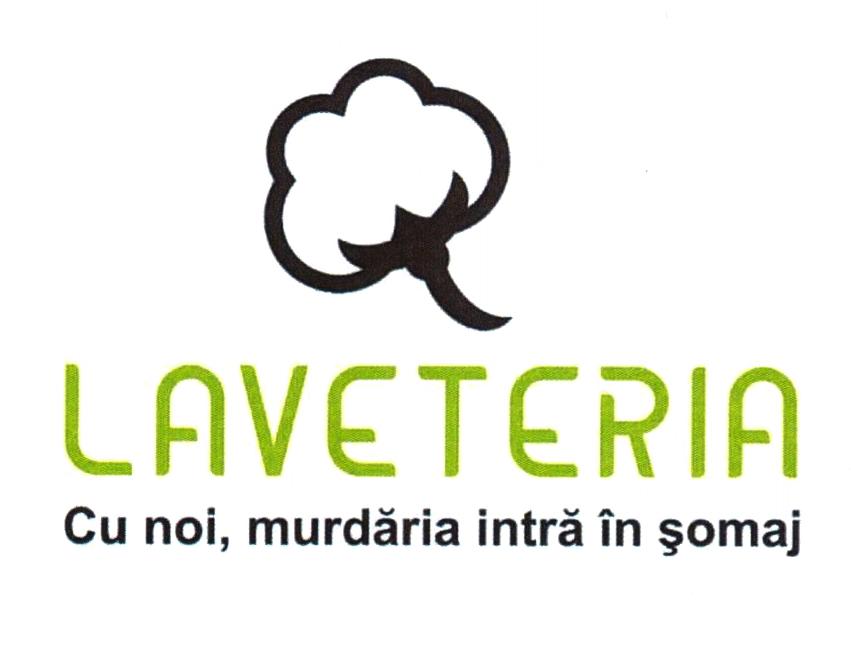 LAVETERIA Cu noi, murdăria intră în şomaj