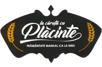 la căruța cu Plăcinte FRĂMÂNTATE MANUAL CA LA INEU