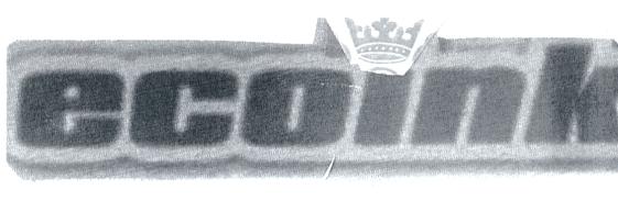 ecoink