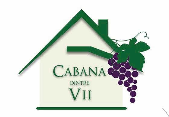 CABANA DINTRE VII