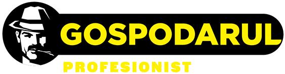 GOSPODARUL PROFESIONIST