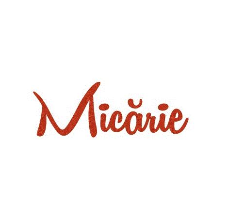 Micărie