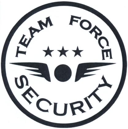 TEAM FORCE SECURITY