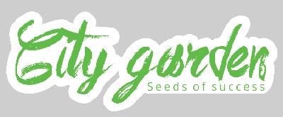 City garden Seeds of success