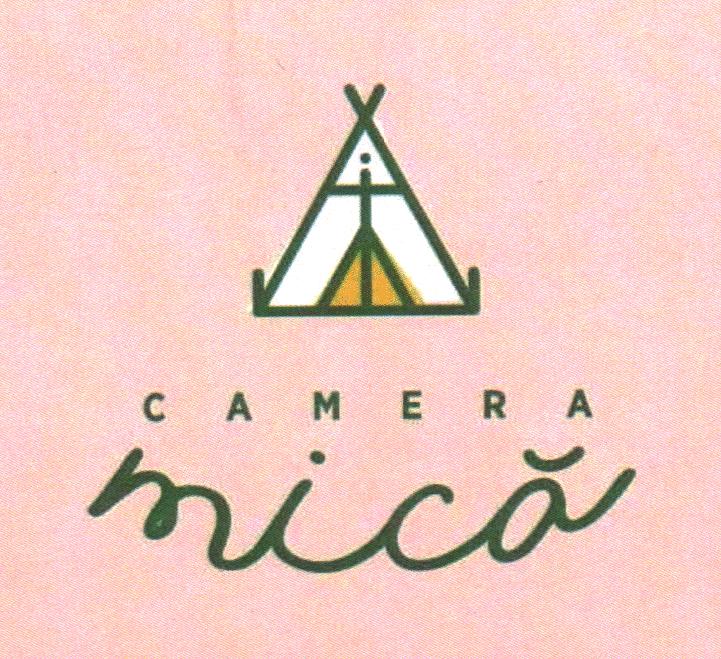CAMERA mică