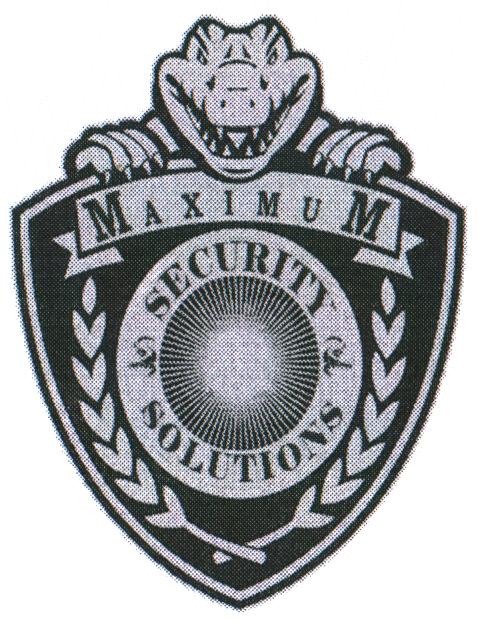 MAXIMUM SECURITY SOLUTIONS