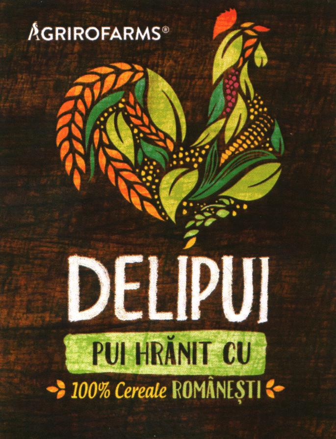 AGRIROFARMS DELIPUI PUI HRĂNIT CU 100% CEREALE ROMÂNEŞTI