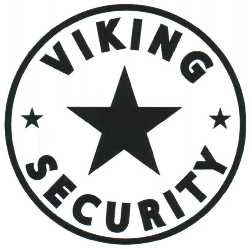 VIKING SECURITY