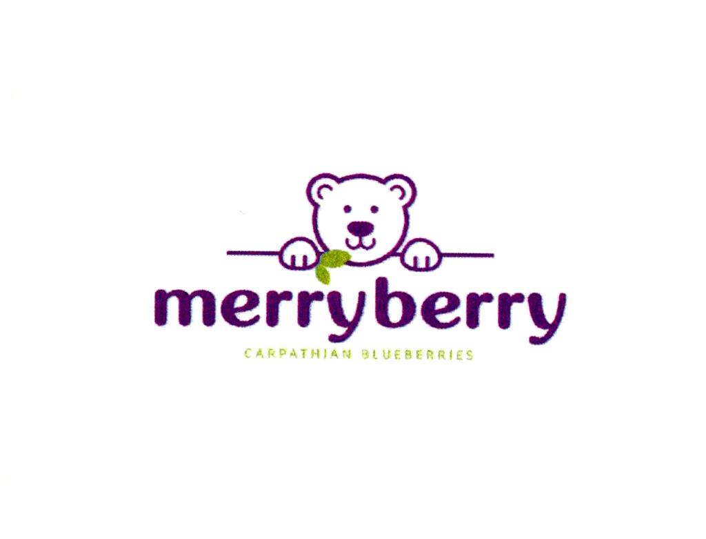 merryberry CARPATHIAN BLUEBERRIES