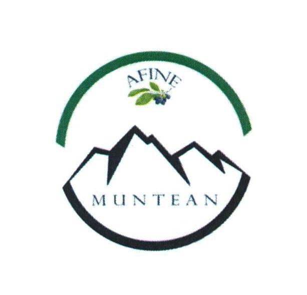 AFINE MUNTEAN