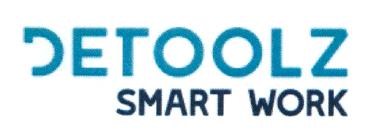 DETOOLZ SMART WORK