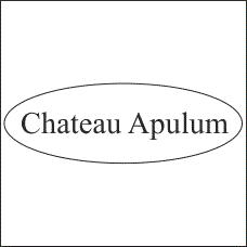 Chateau Apulum