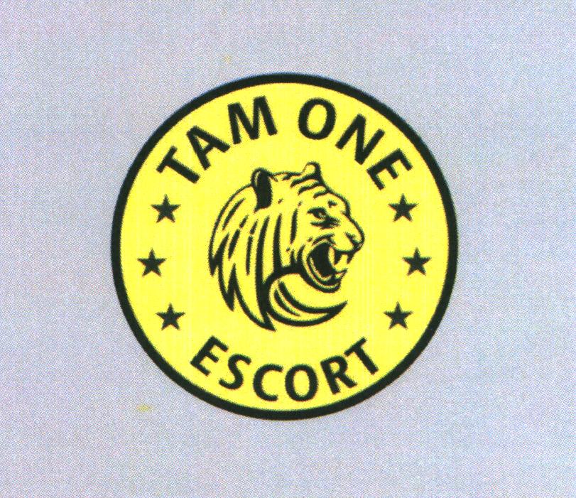 TAM ONE ESCORT