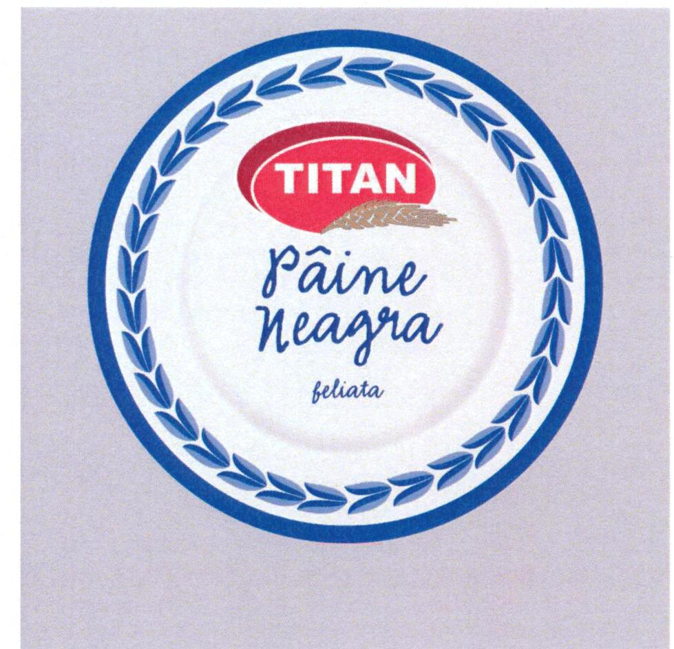 TITAN Pâine neagra feliata