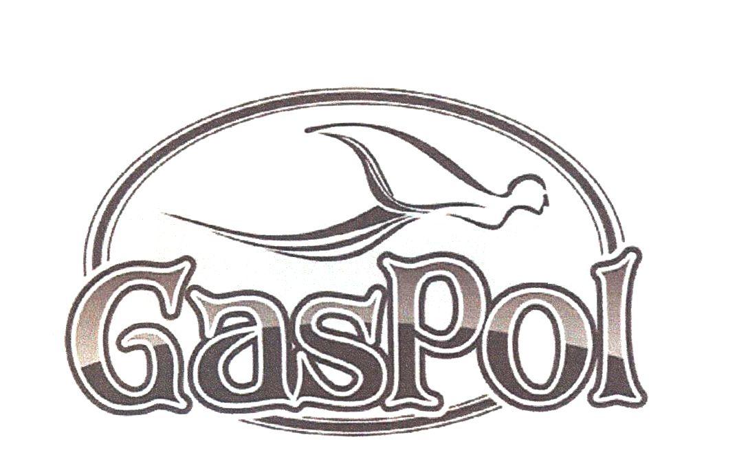 GasPol