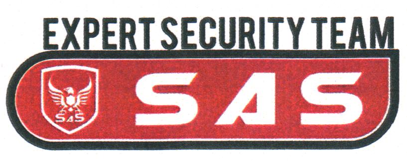 EXPERT SECURITY TEAM SAS