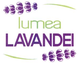lumea LAVANDEI