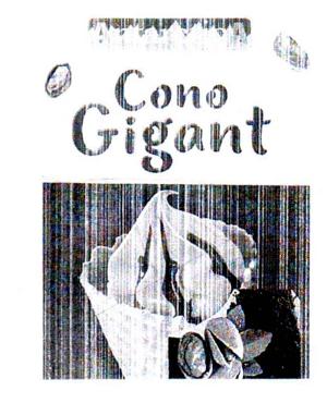 AntarcticA Cono Gigant