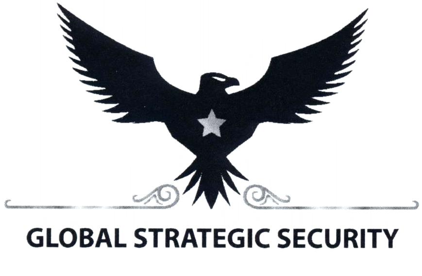 GLOBAL STRATEGIC SECURITY