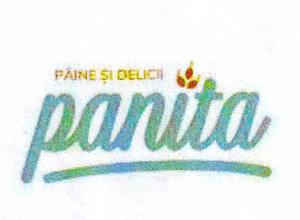 panita PÂINE ŞI DELICII