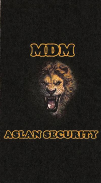 MDM ASLAN SECURITY