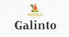 Galinto AVICOLA SLOBOZIA