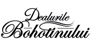 Dealurile Bohotinului