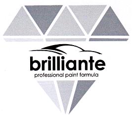 brilliante professional paint formula