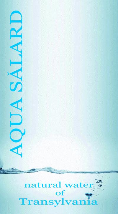 AQUA SĂLARD natural water of Transylvania