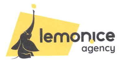 lemon ice agency
