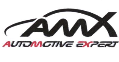 AMX AUTOMOTIVE EXPERT