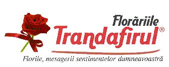 Florăriile Trandafirul  Florile, mesagerii sentimentelor dumneavoastră