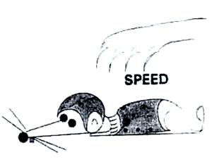 SPEED