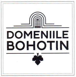 DOMENIILE BOHOTIN