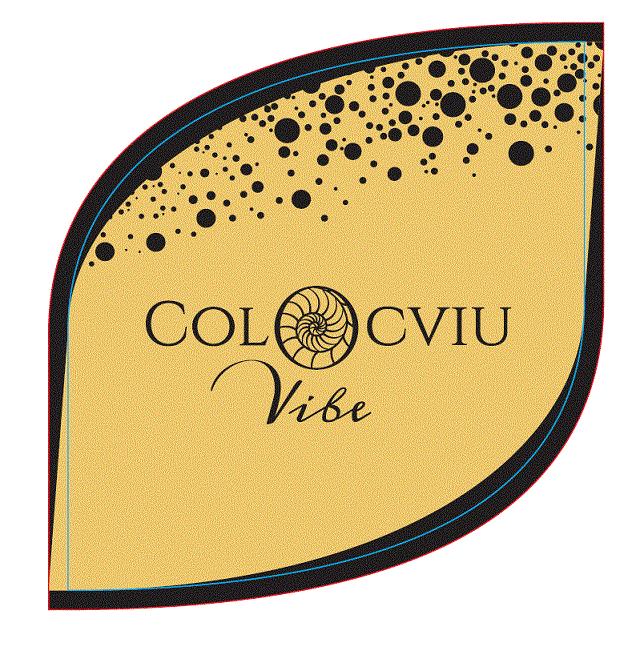 COLOCVIU Vibe