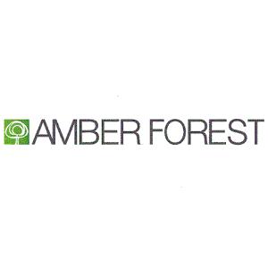 AMBER FOREST