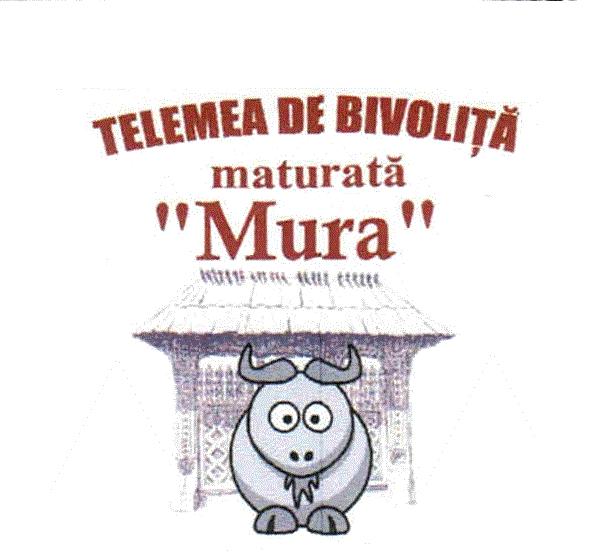 TELEMEA DE BIVOLIȚĂ maturată "Mura"