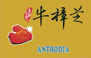 ANTRODIA