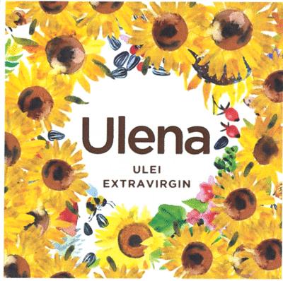 Ulena ULEI EXTRAVIRGIN