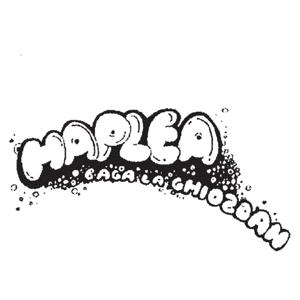 HAPLEA BAGA LA GHIOZDAN