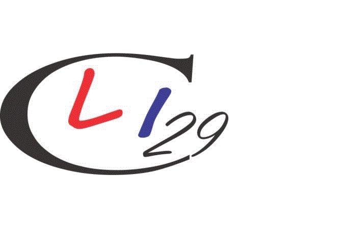 LIC 29
