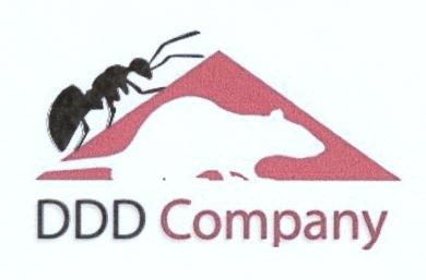 DDD Company