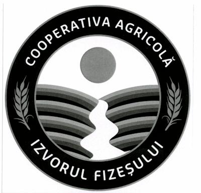 COOPERATIVA AGRICOLĂ IZVORUL FIZEȘULUI