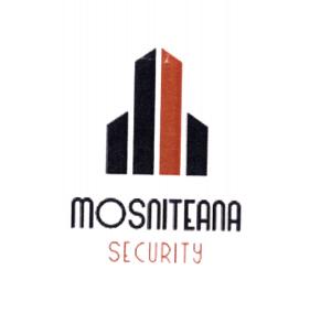 MOSNITEANA SECURITY