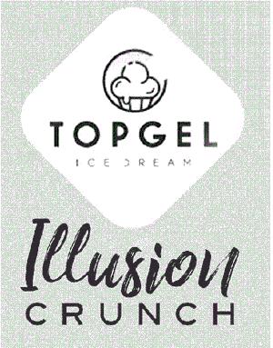 TOPGEL ICE DREAM Illusion CRUNCH